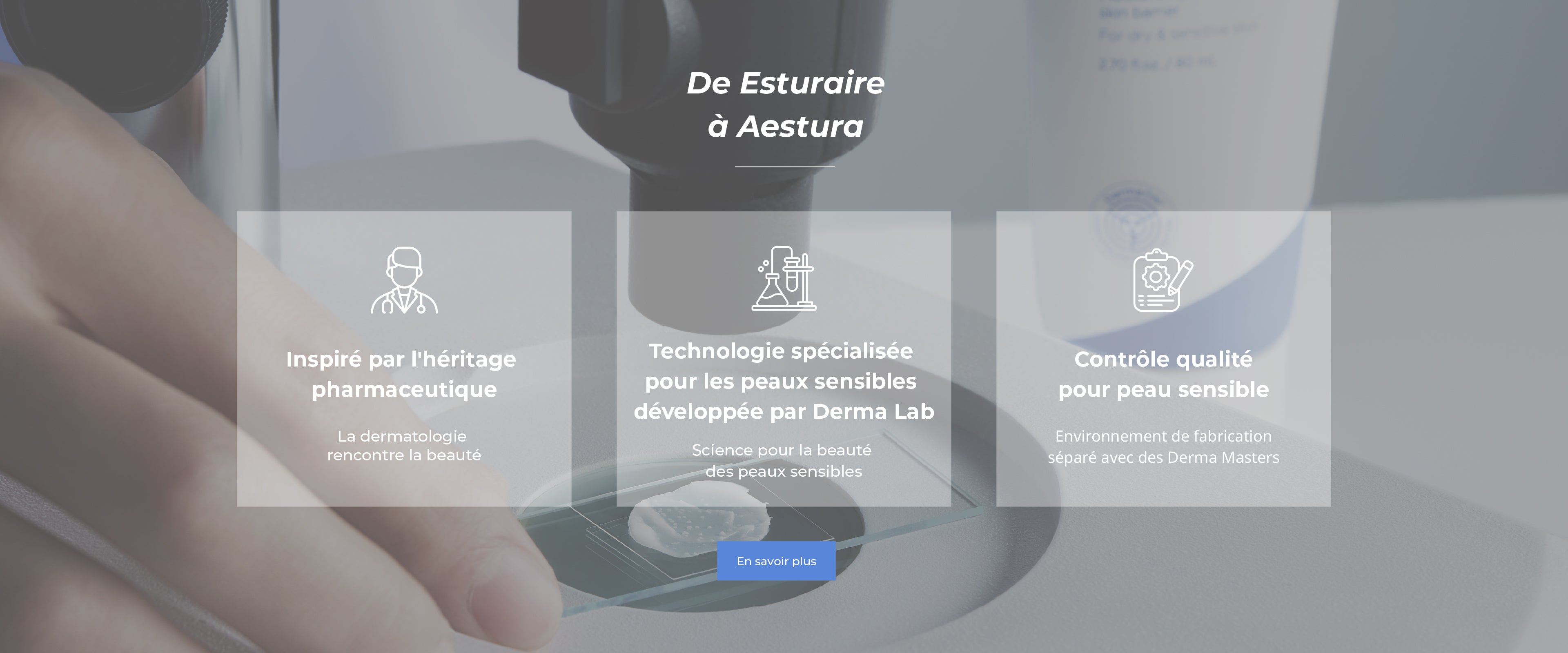 AESTURA from ESTUARY