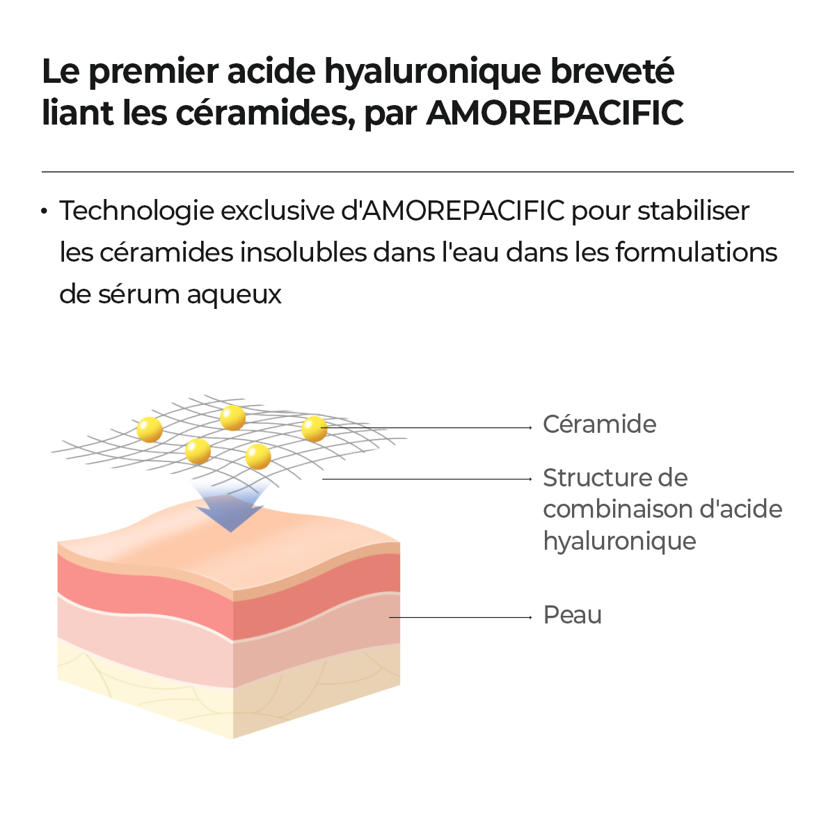 ATOBARRIER365 HYDRO CERA-HA SERUM